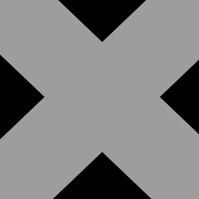 X_album_cover.jpg