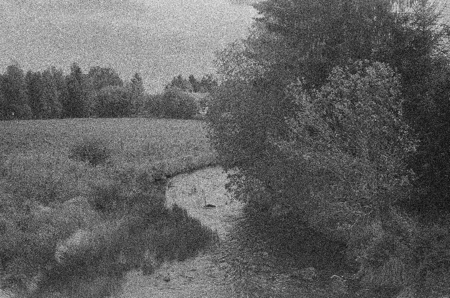 Moments, Letsbo, 2025
More analog photos on my website jaanasalla.se, link in bio 🖤

#photography #analogphotography #blackandwhitephoto