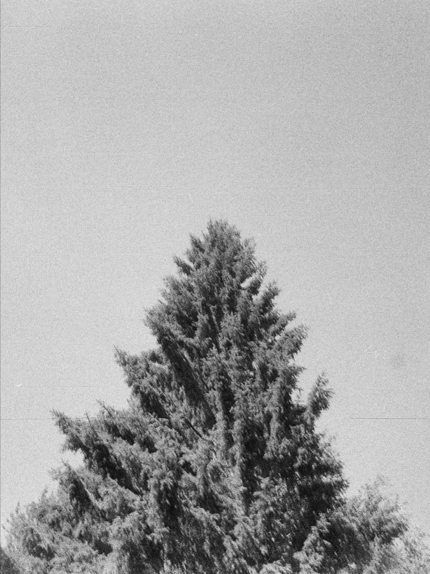 Merry Christmas 🧡🎄