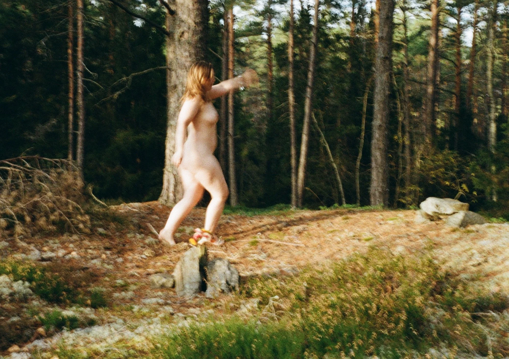 Nature-14.jpg