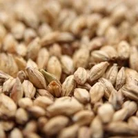 Weyermann® Pale Ale