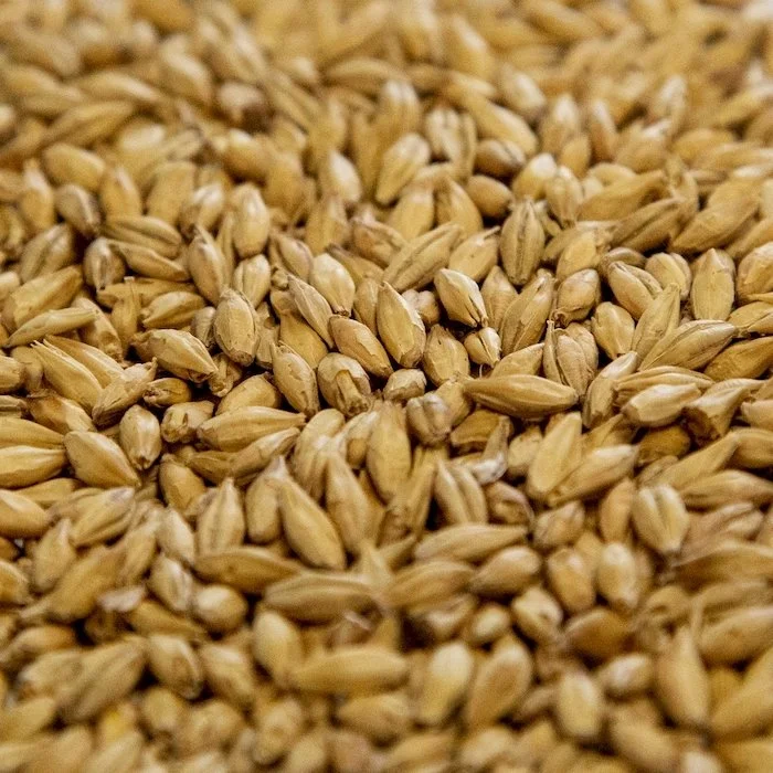 Dingemans Belgian Pilsen