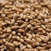 Weyermann® Floor-Malted Bohemian Pilsner Malt
