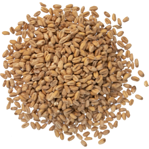 Viking Malt - Oak Smoked Wheat
