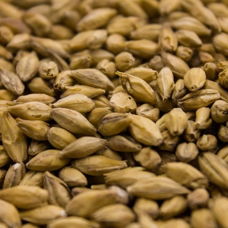 Weyermann® Barke® Pilsner