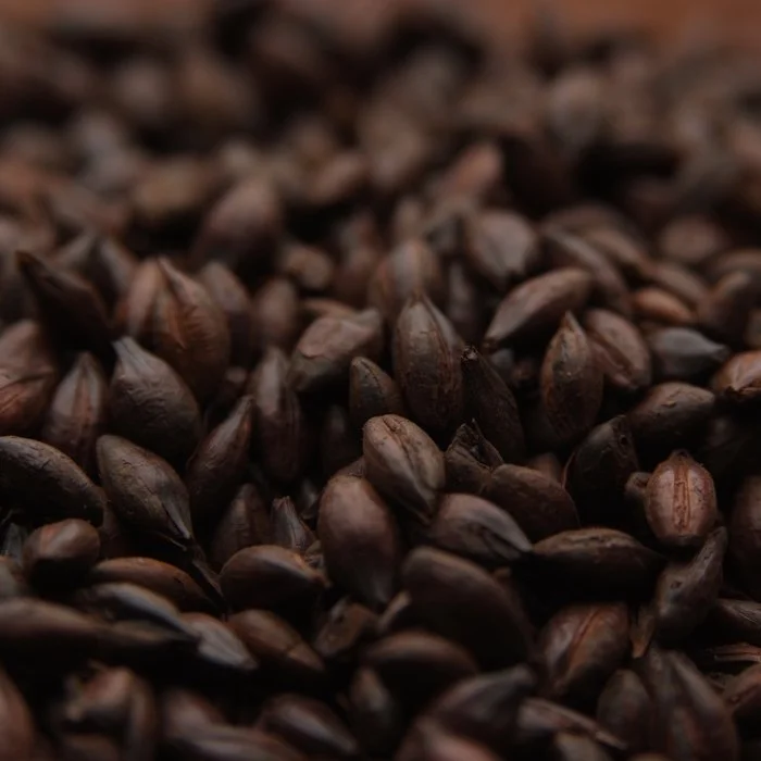 Weyermann® CARAFA® Special Type 2 (dehusked)