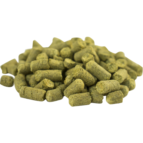 Hersbrucker (Ger) Hops