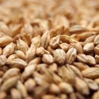 Weyermann® CARAFOAM®