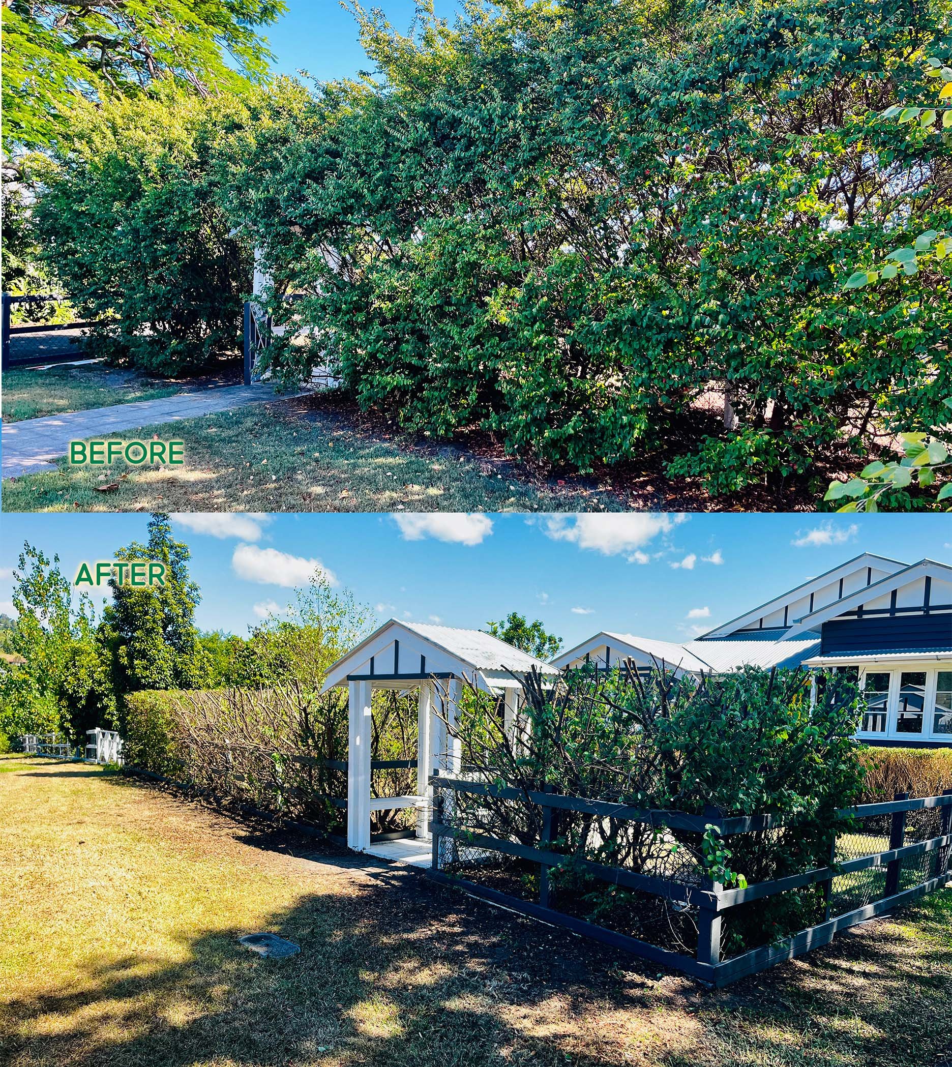 Reset of Chinese Fringe hedge