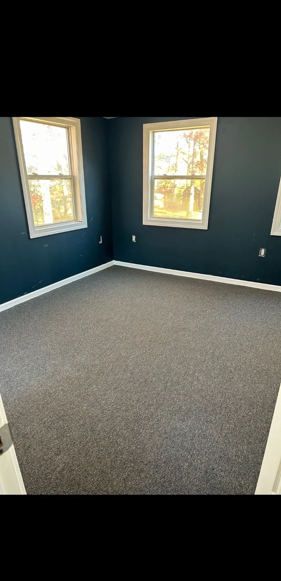 Empty room with dark blue walls, two large windows, and grey carpet flooring.