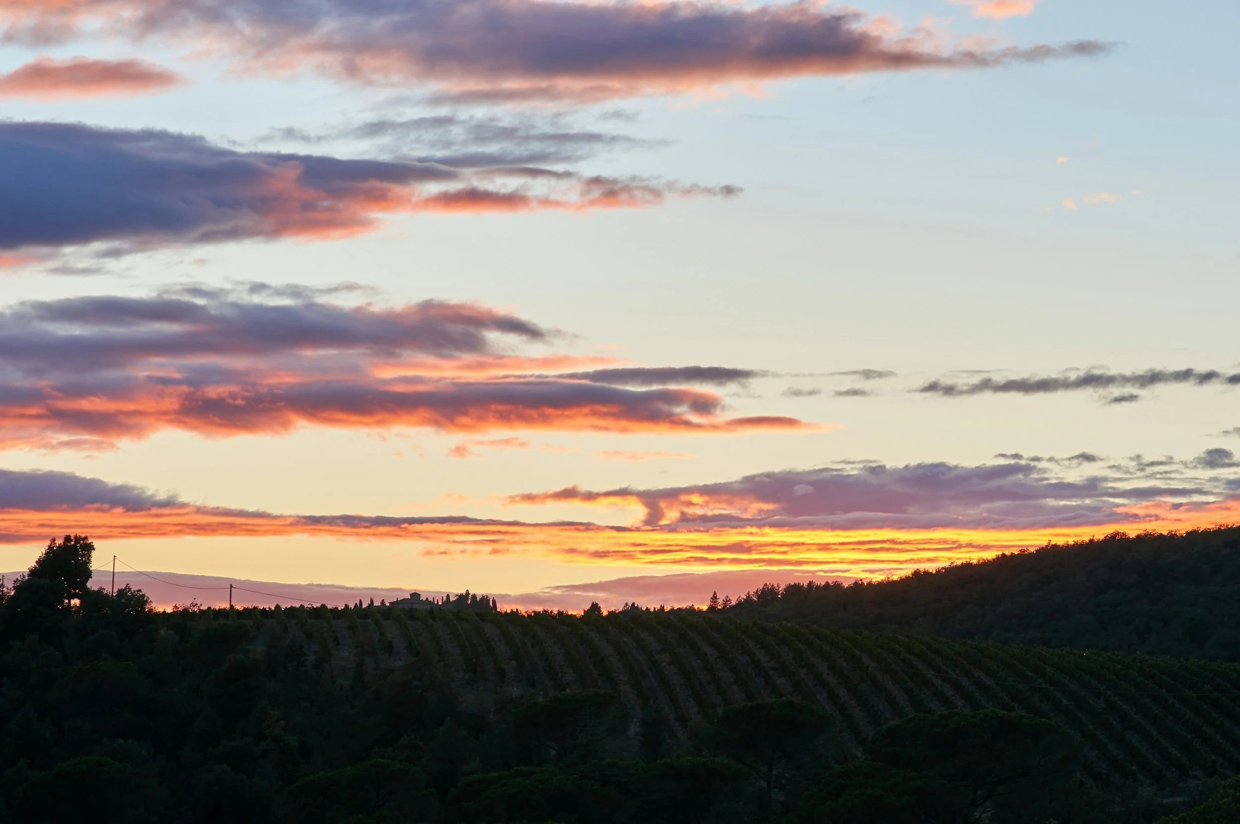 Sunset over rolling hills and vineyards with a colorful sky of orange, pink, and purple clouds.
