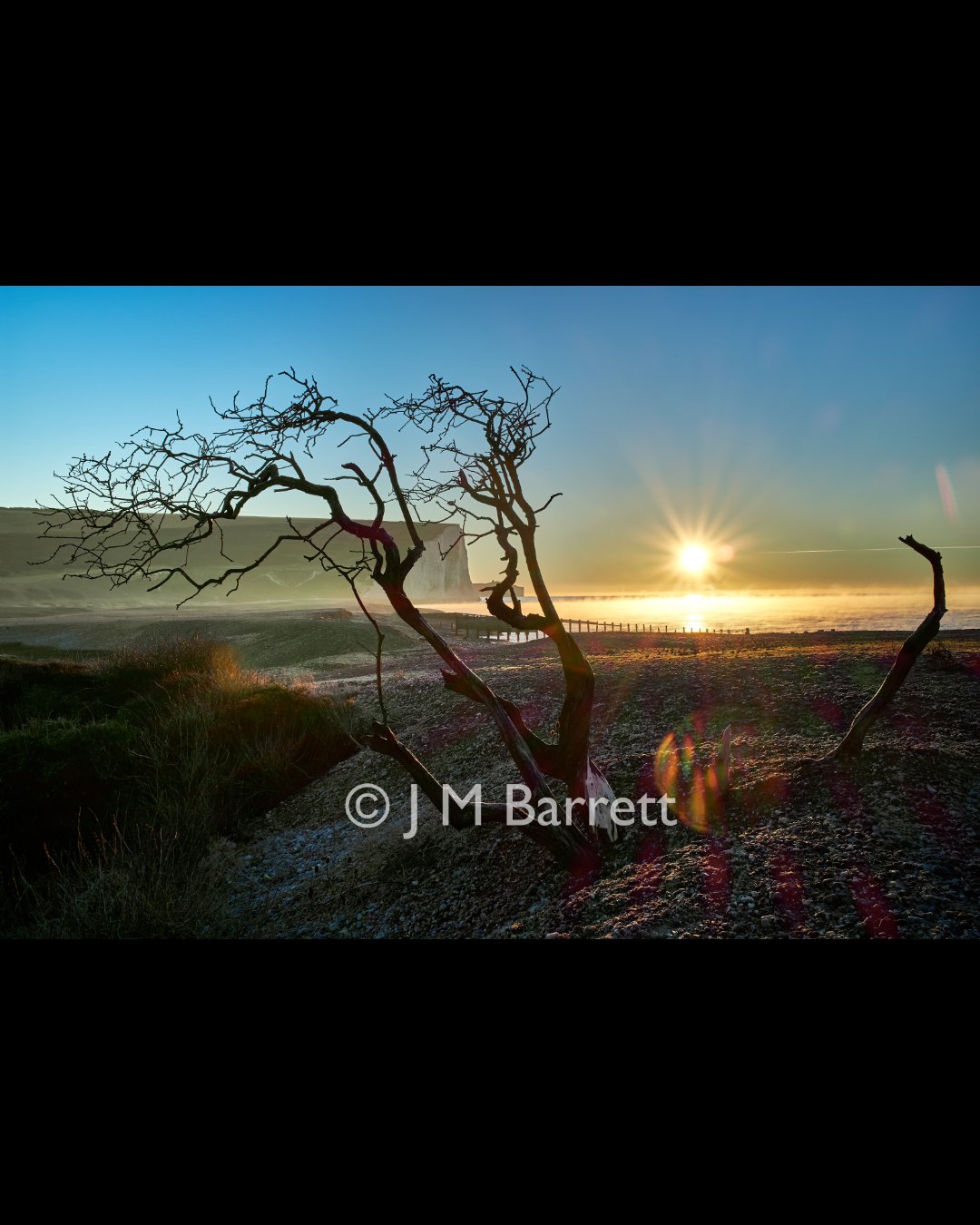 Sunset over a beach with a leafless tree in the foreground and cliffs in the distance.