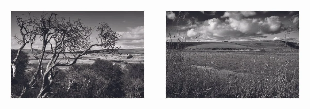 Cuckmere Zine content low res for website_1_14.jpg