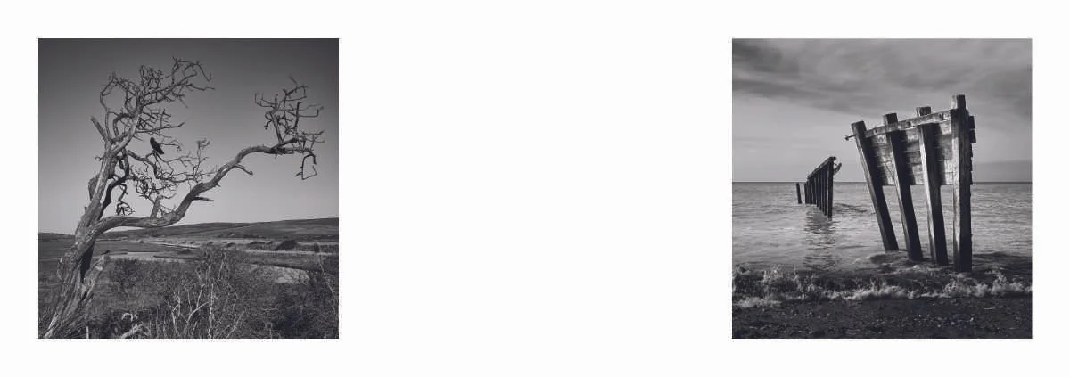 Cuckmere Zine content low res for website_1_9.jpg