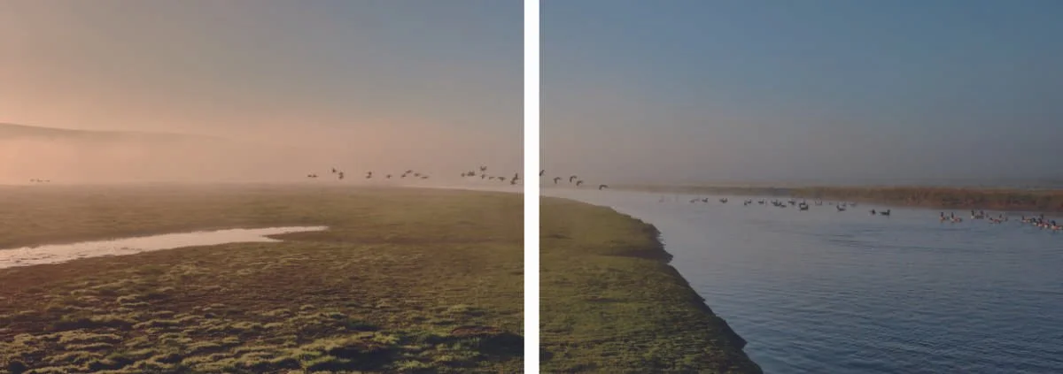 Cuckmere Zine content low res for website_1_4.jpg