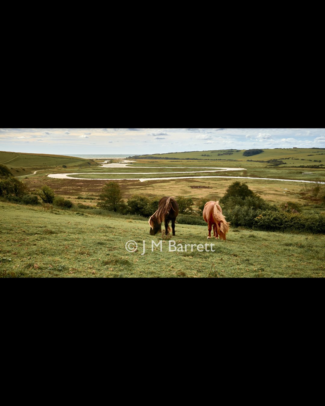 Two horses grazing on a grassy hill with a winding river and rolling green fields in the background.