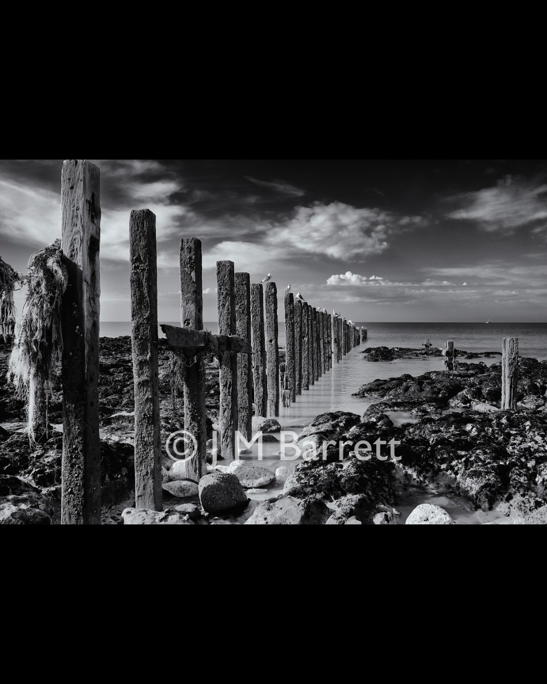 Black and white photo of a pier with weathered wooden posts extending into the ocean, rocks scattered along the shore, and seagulls perched on the posts, under a cloudy sky.