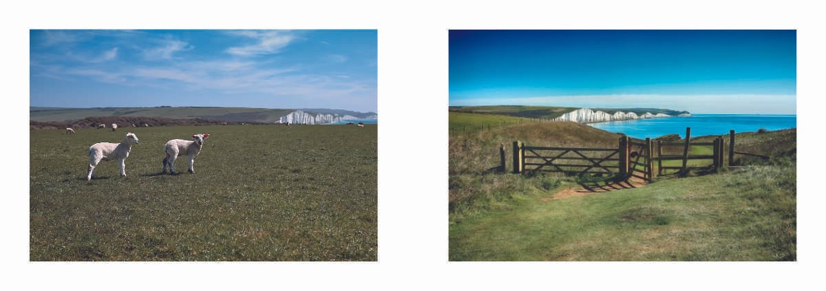 Cuckmere Zine content low res for website_1_8.jpg