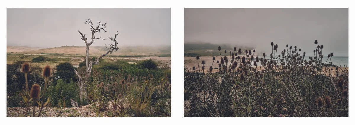 Cuckmere Zine content low res for website_1_6.jpg