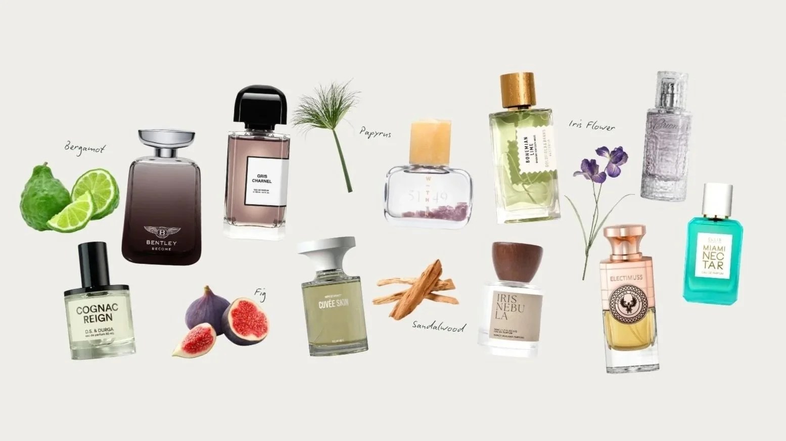 Bouquet From The Back Bar