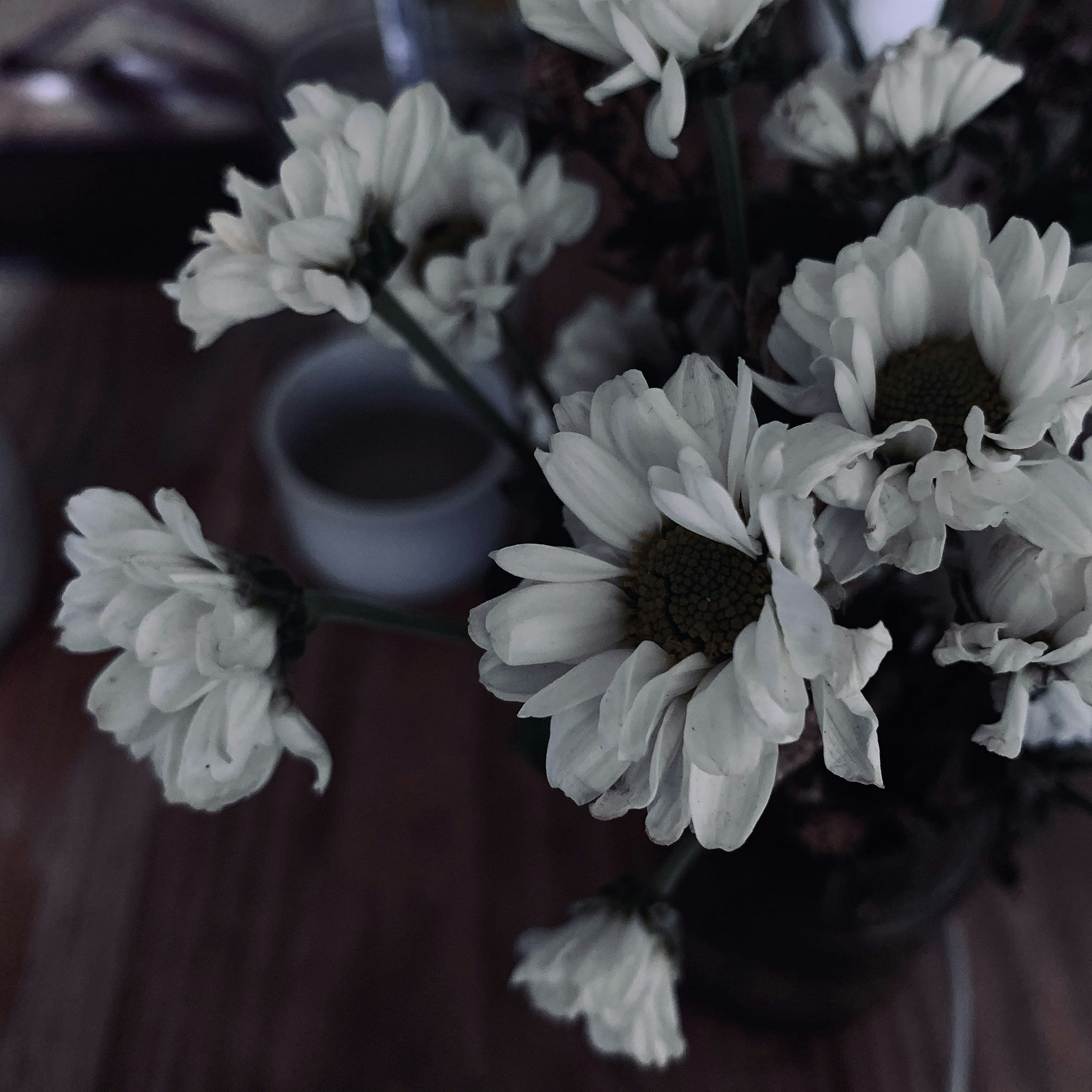 White daisies in a dark vase on a wooden surface with a blurred candle in the background.