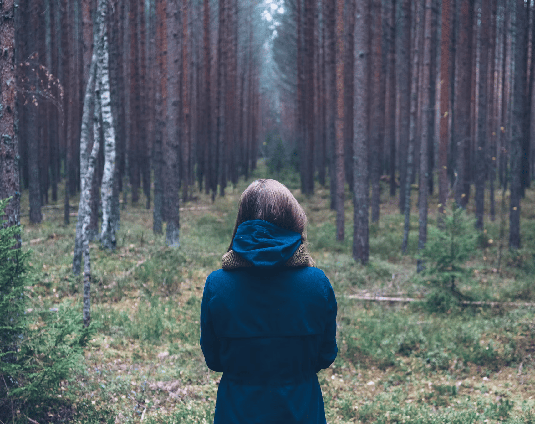 A person with long hair wearing a blue jacket and hood, standing with their back to the camera in a forest with tall trees and green underbrush.