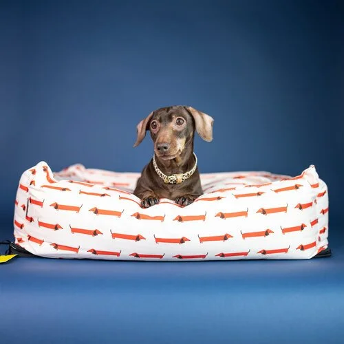 FENELLA+SMITH+LONDON+X+PUGGY+SMALLS+X+POP+SAUSAGE-20.jpg