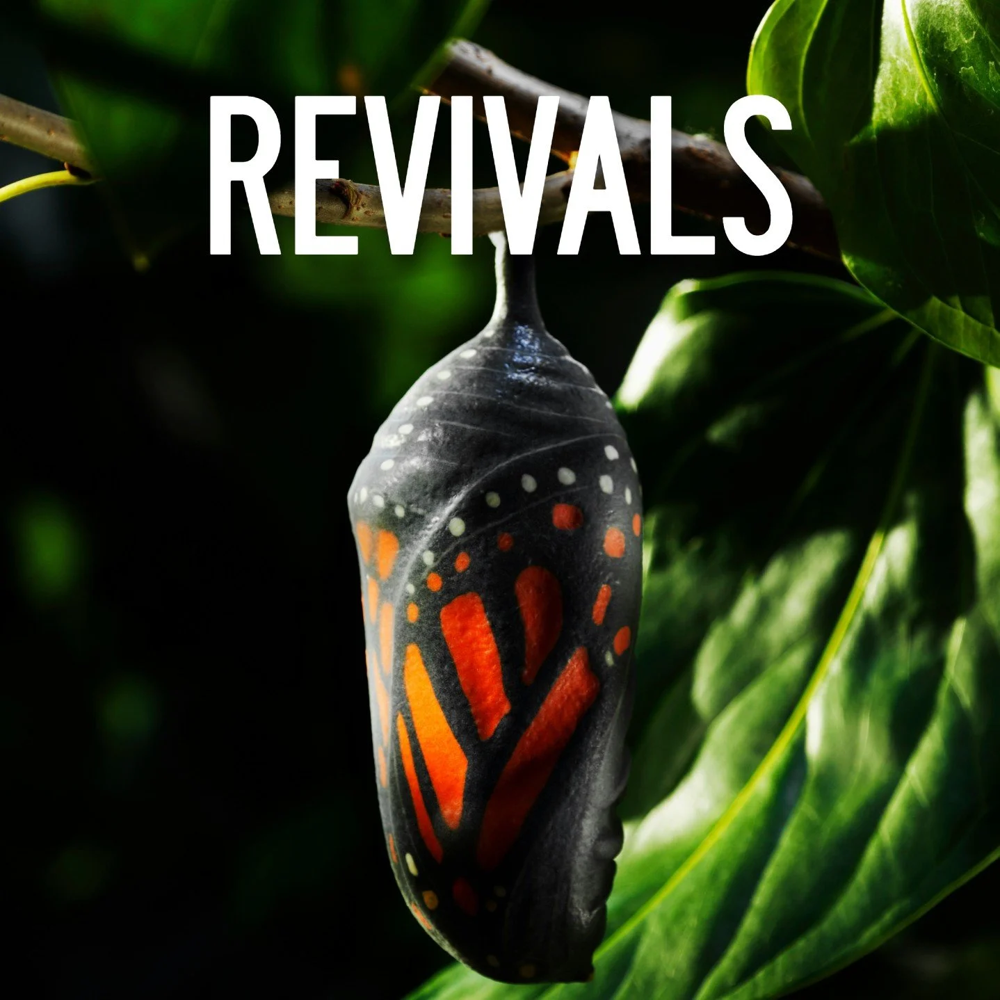 CLICK ON IMAGE TO LEARN MORE