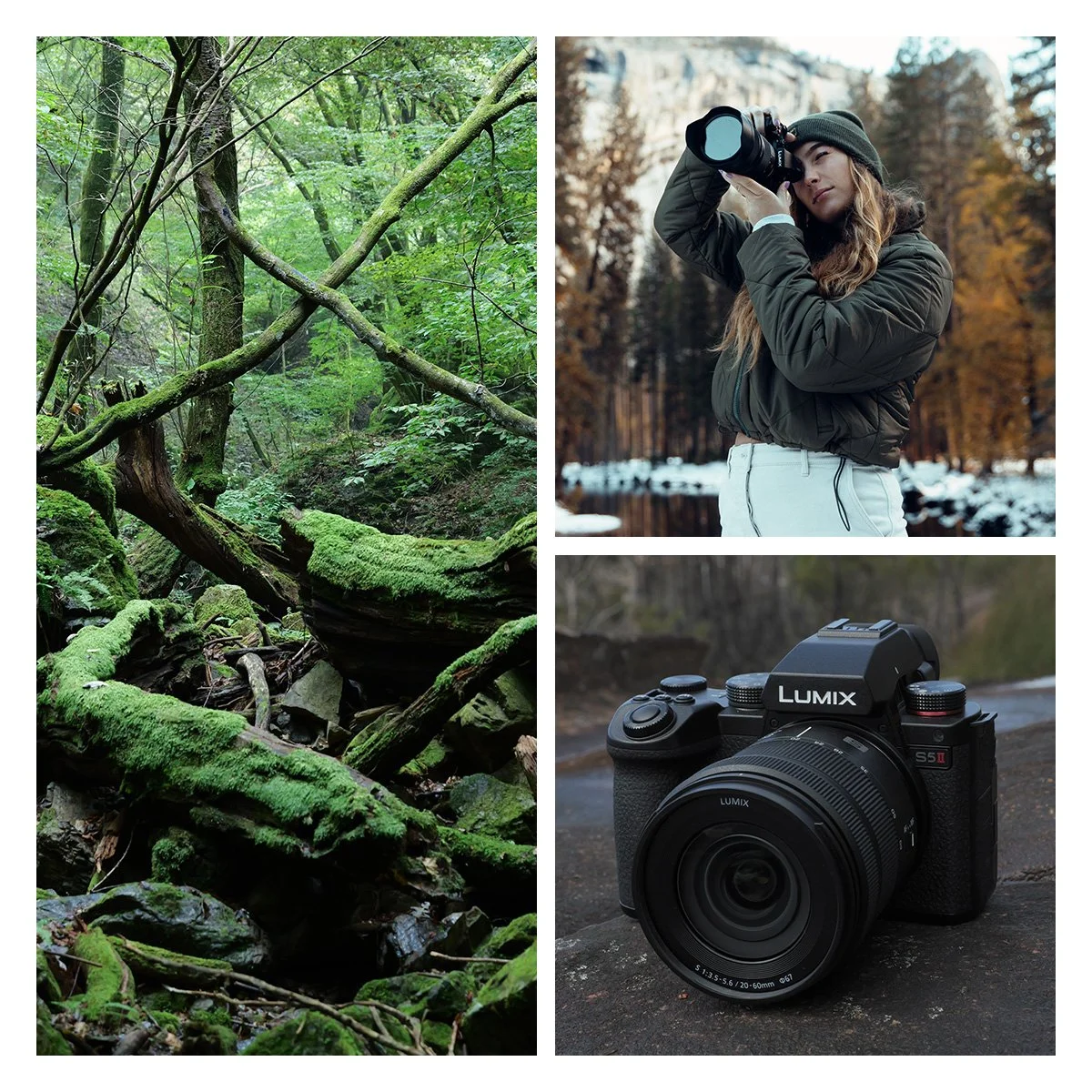 A collage of three images: a dense green forest with moss-covered fallen logs and trees, a woman in outdoor clothing using a camera to shoot in a wooded area during fall, and a black Lumix camera with a zoom lens placed on a rock next to a forested trail.