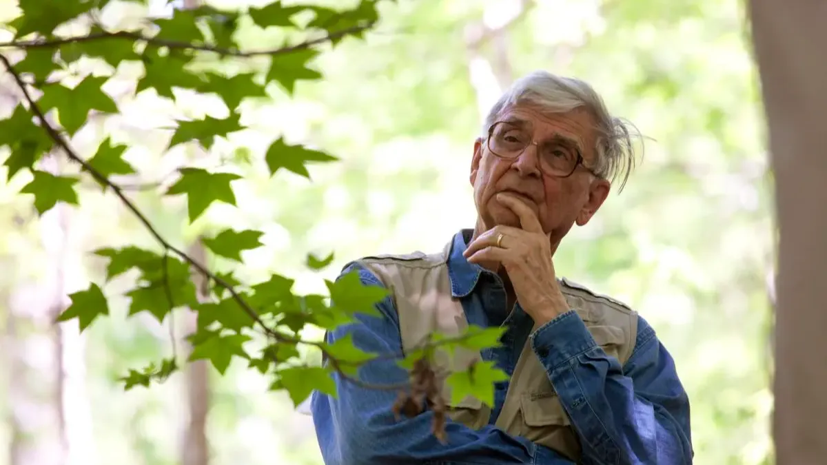 Edward O. Wilson and the Biophilic Workplace