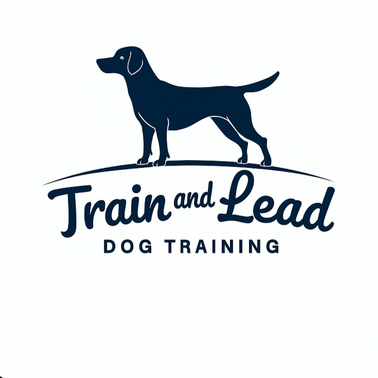 Train and Lead 