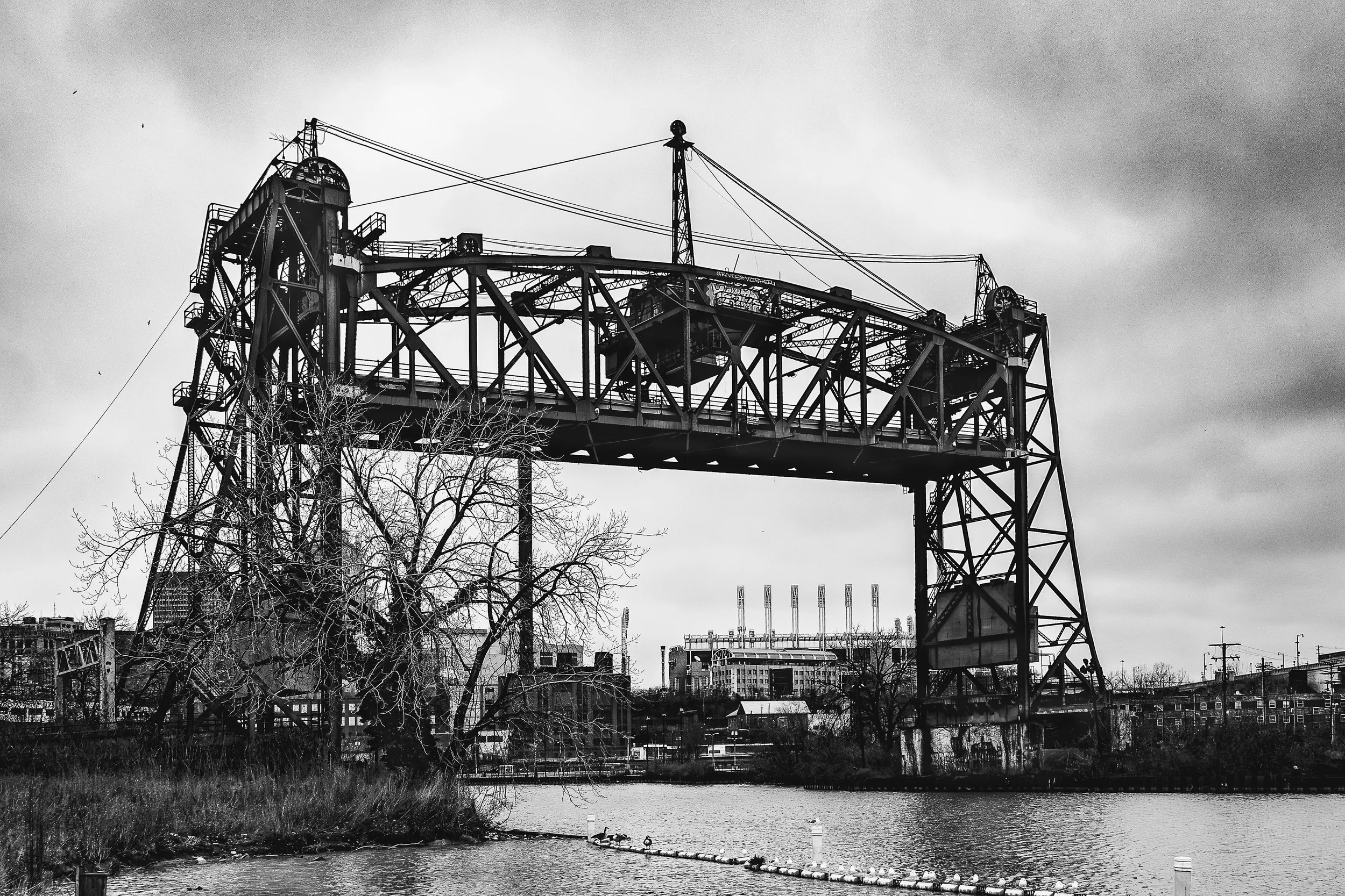 TebayemaTakawa Landscape S20-56-Edit-Edit.jpg