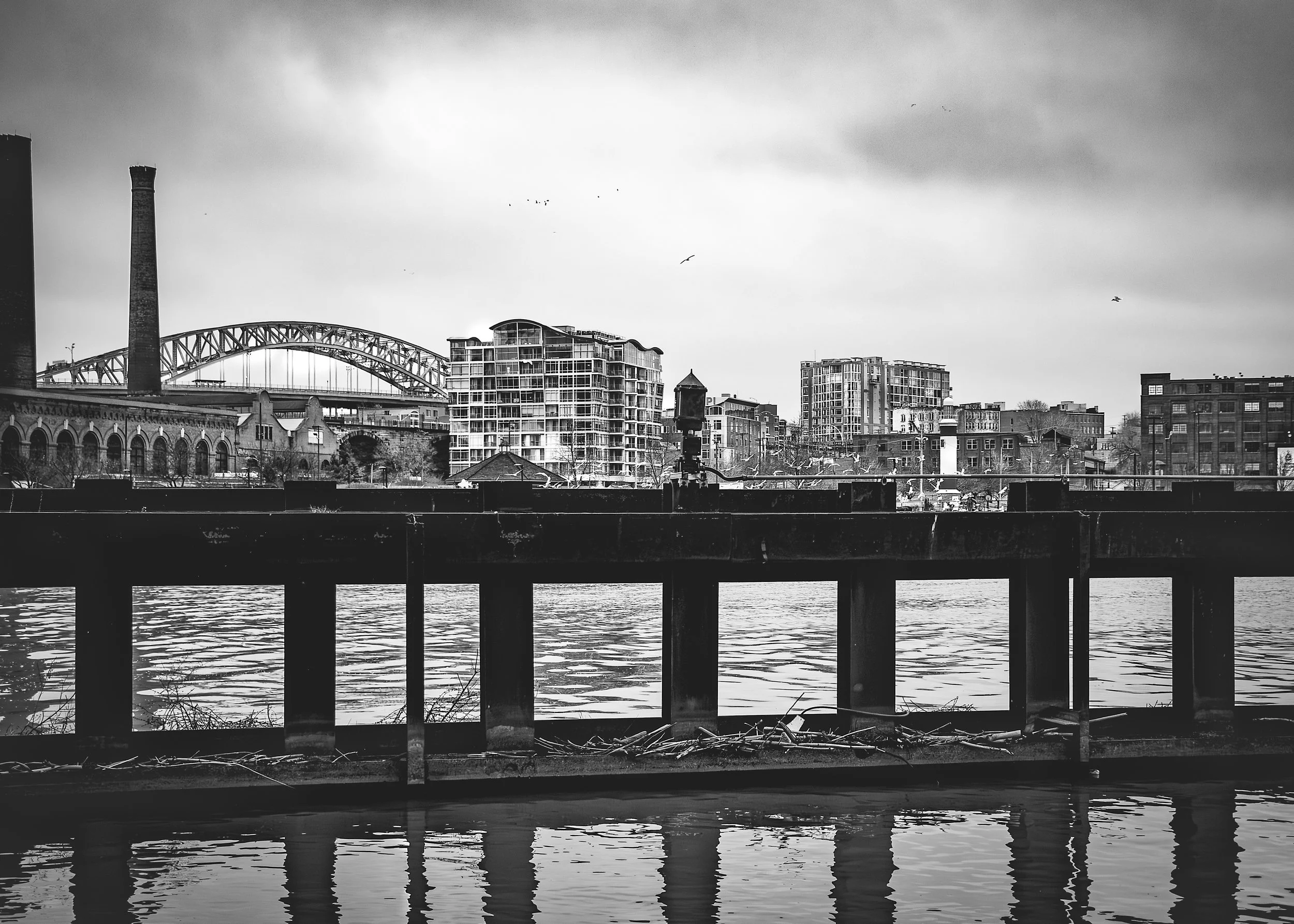 TebayemaTakawa Landscape S20-14-Edit.jpg