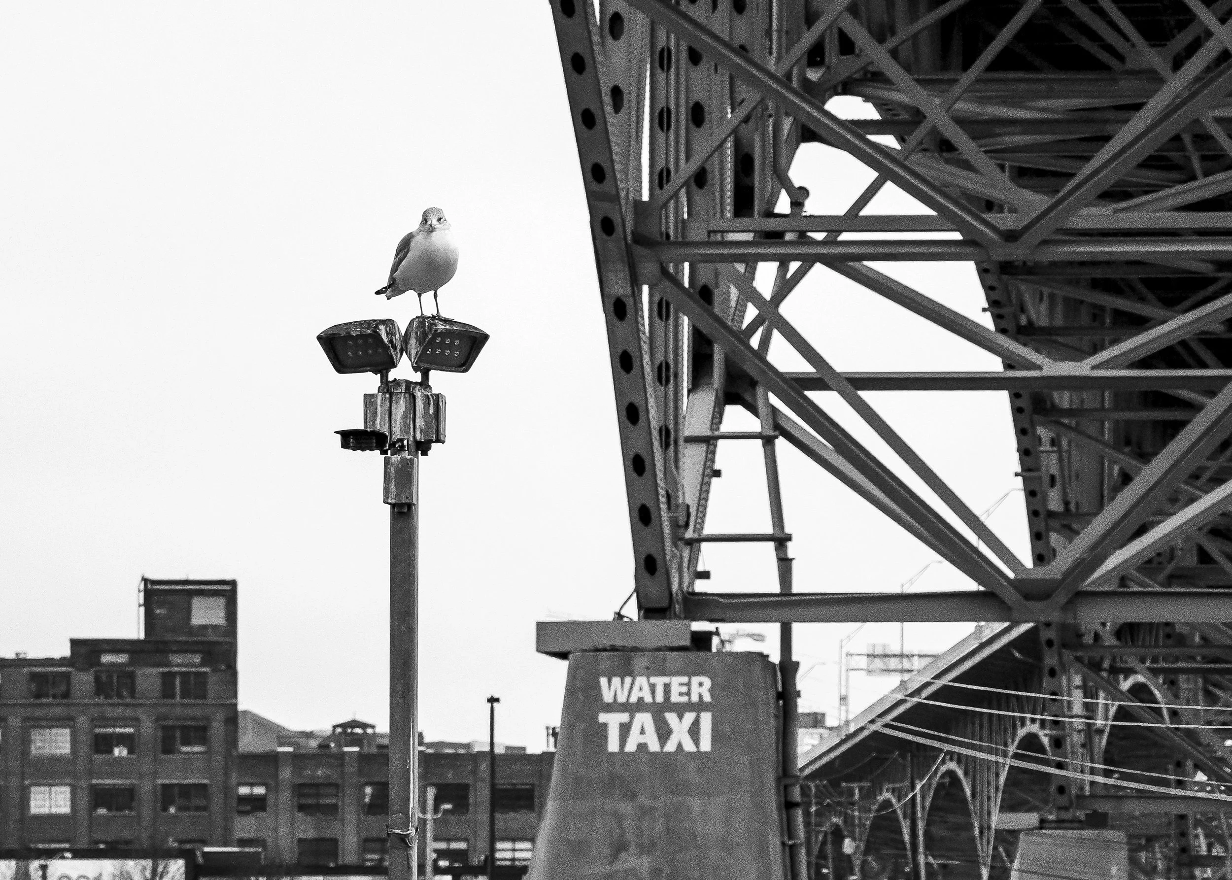 TebayemaTakawa Landscape S20-11-Edit.jpg