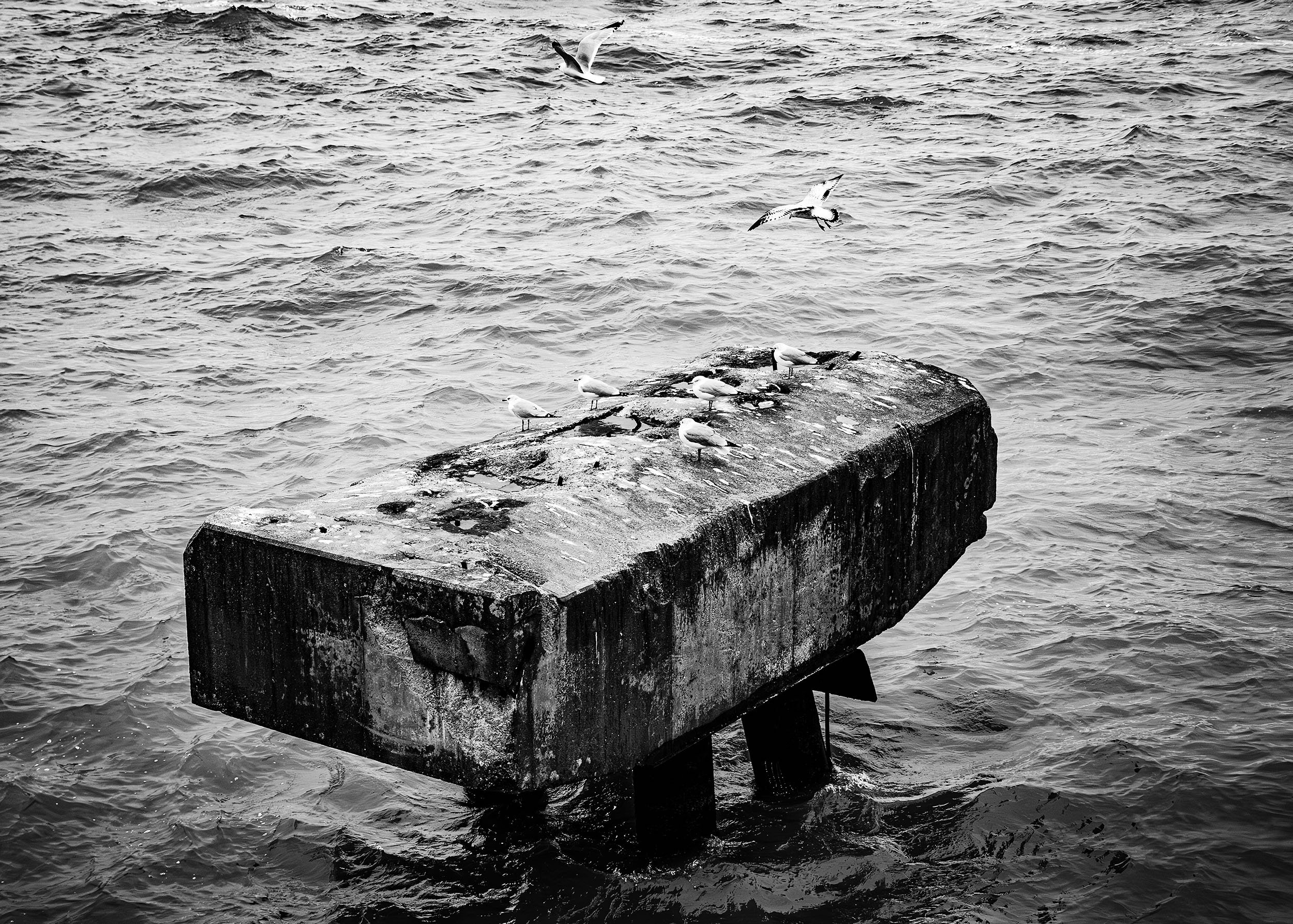 TebayemaTakawa Landscape S20-131-Edit copy.jpg