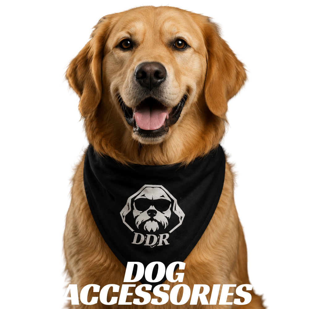 A Golden Retriever dog wearing a black bandana with a white dog logo and the letters DDR, with the text 'Dog Accessories' below.
