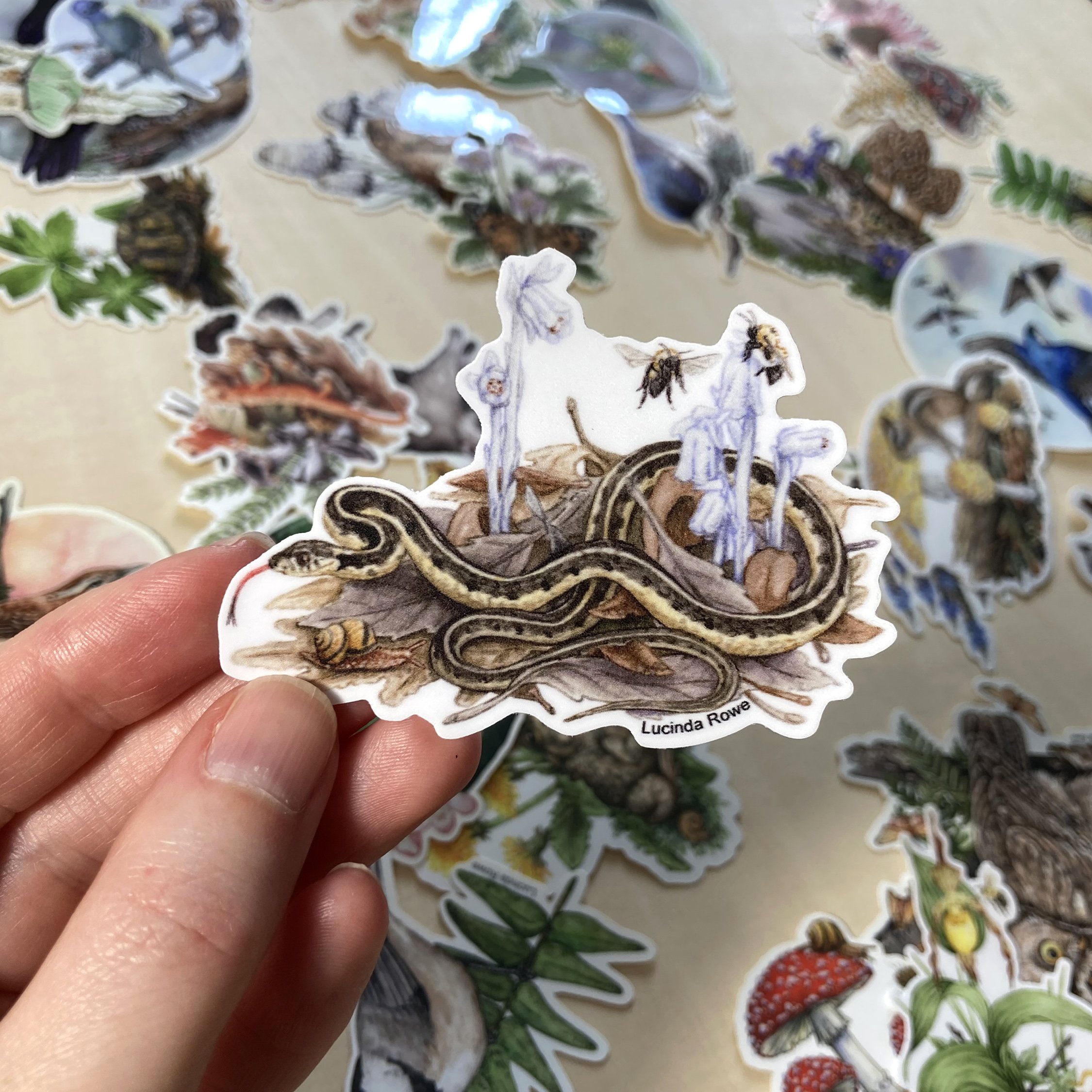 LRowe_garter snake sticker_photo 1.jpg