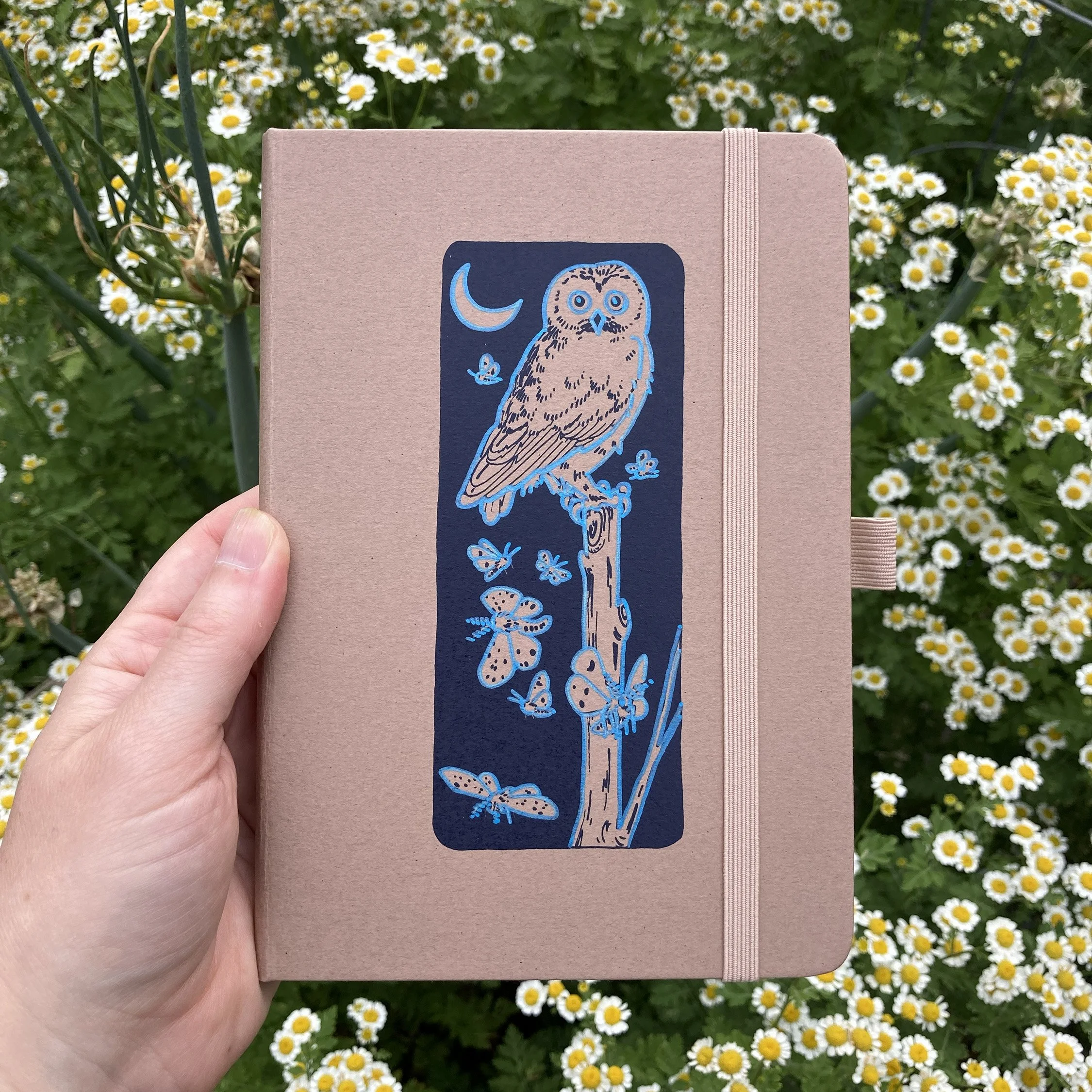 Owl and Moths Eco-Friendly Upcycled Almond Notebook