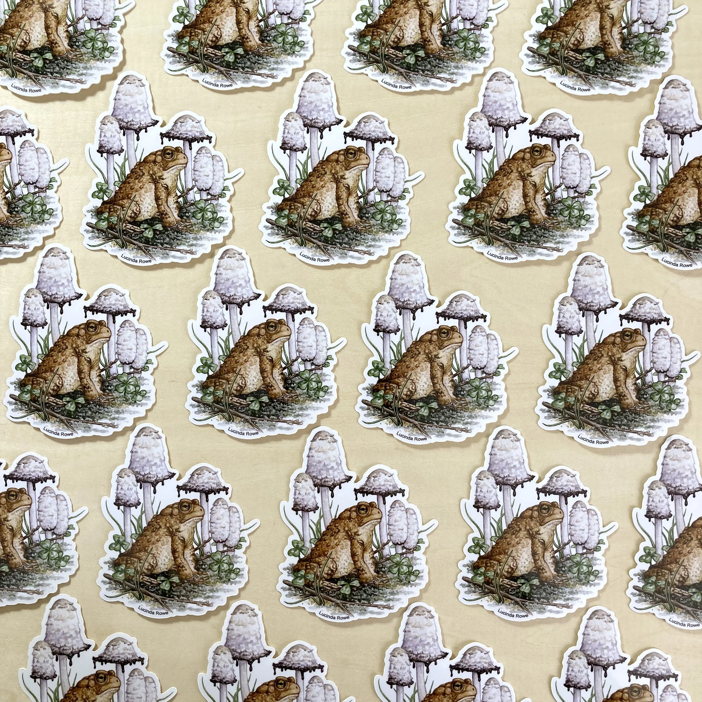 LRowe_american toad sticker_photo 2.jpg