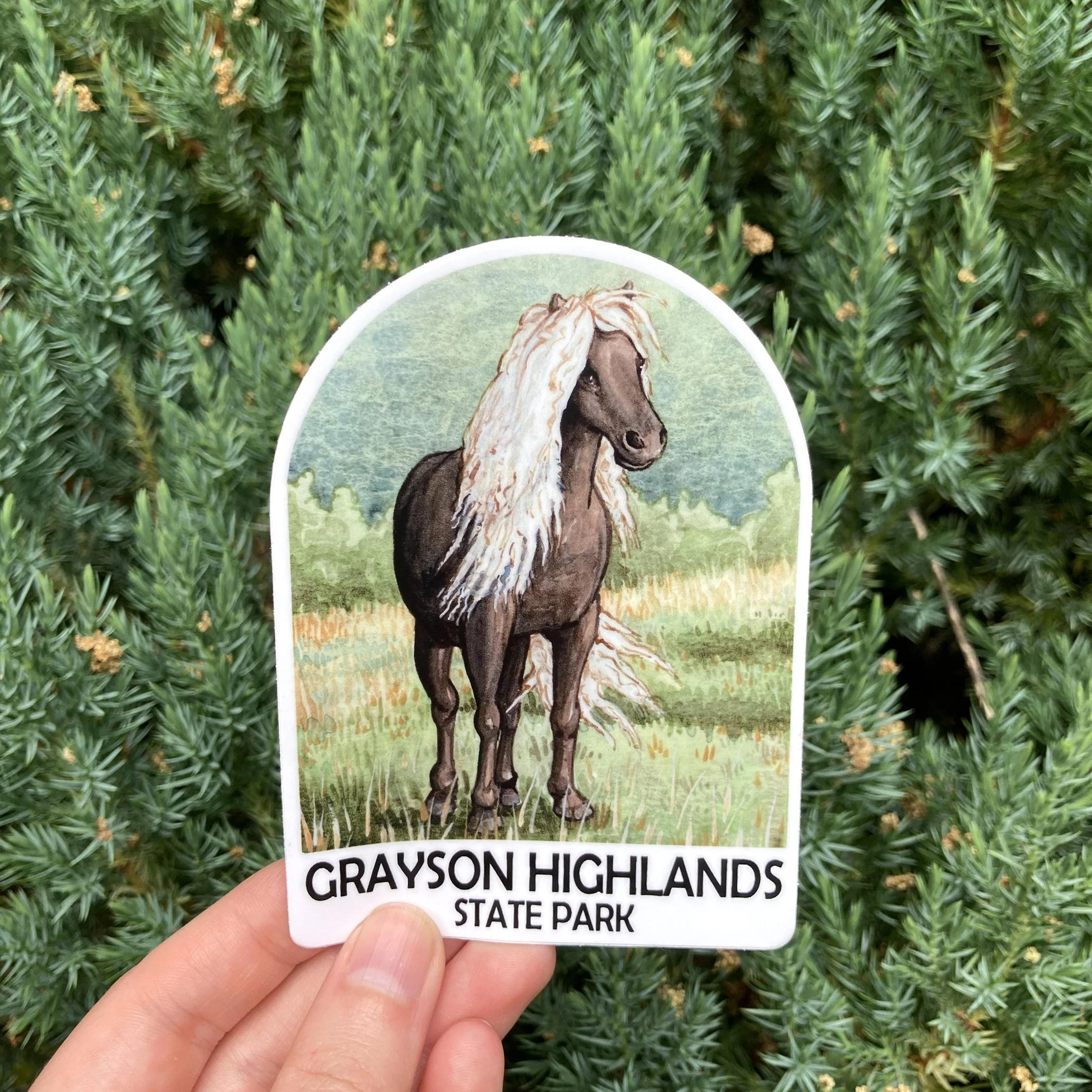 LRowe_GH Fabio_web.jpg