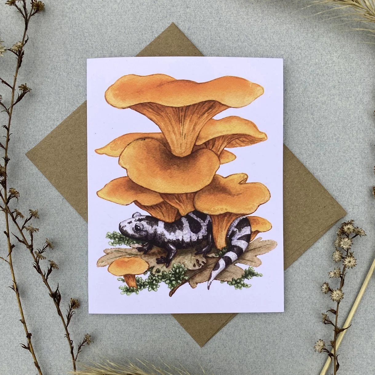 Cards_Amphibians_photo 5.jpg