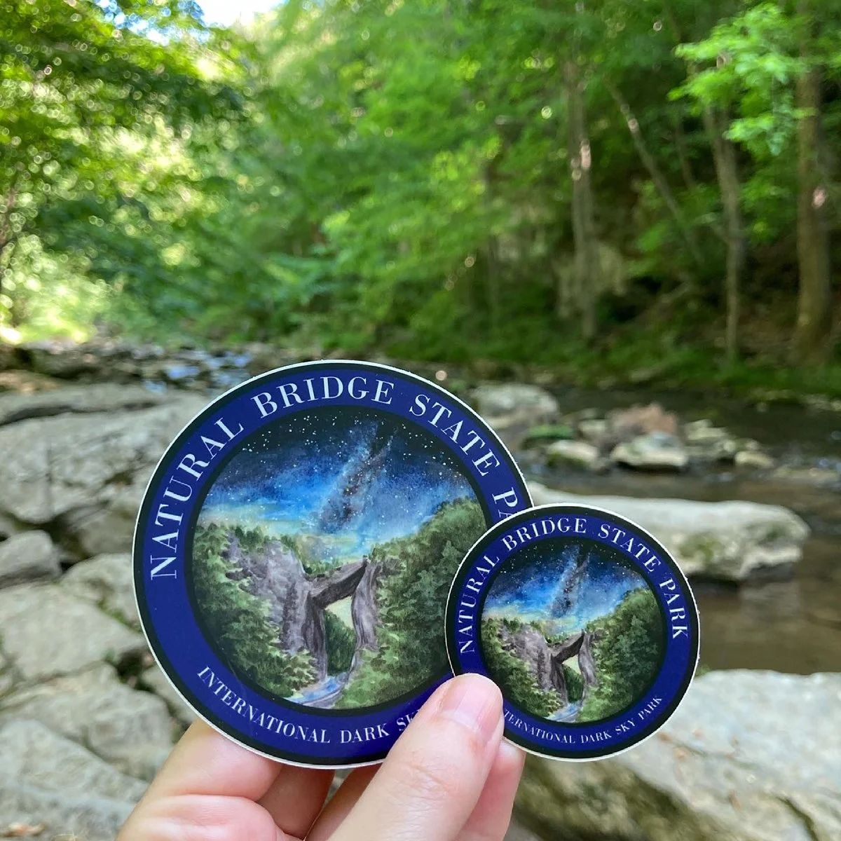 LRowe_NB night sky_web.JPG