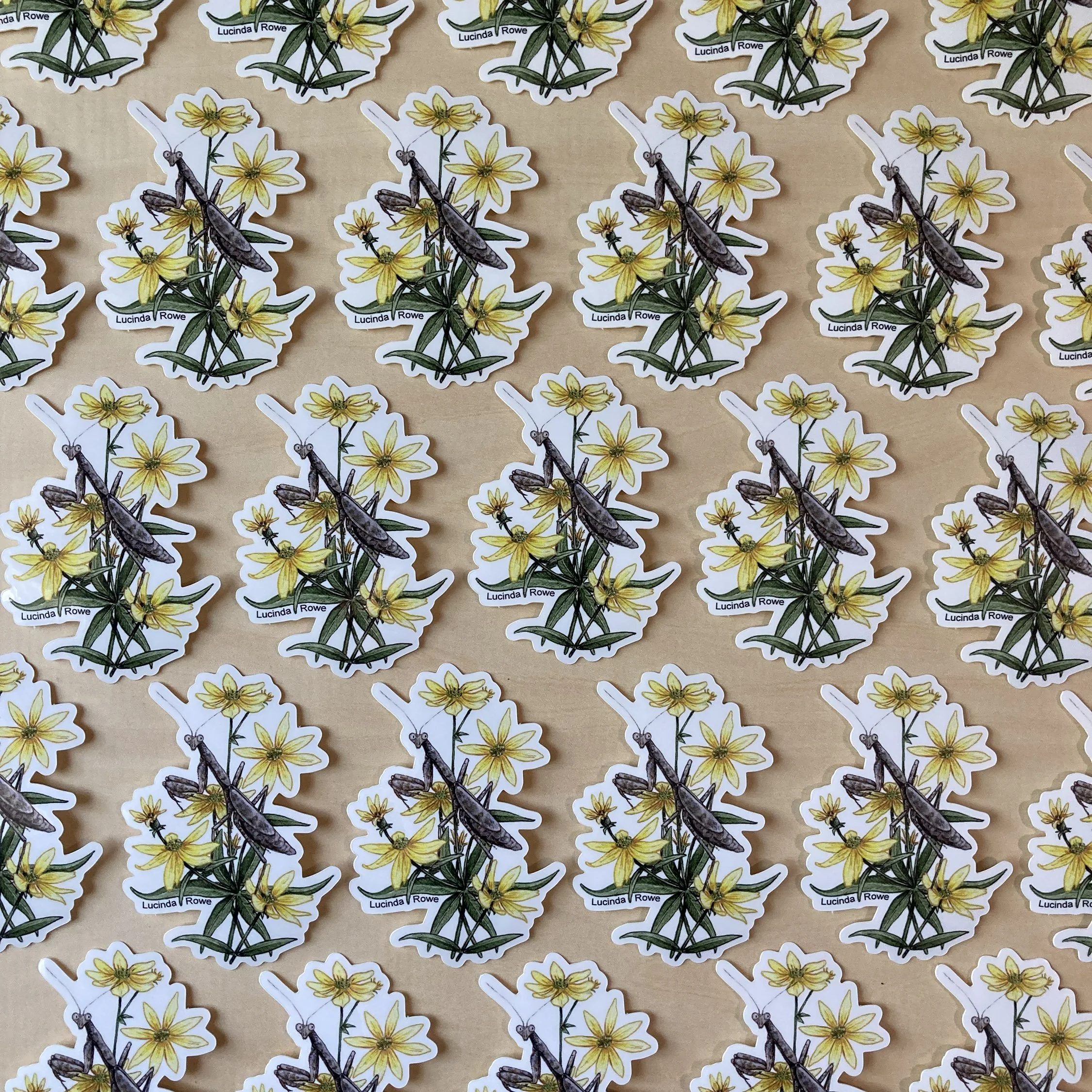 LRowe_mantis sticker_photo 2.jpg