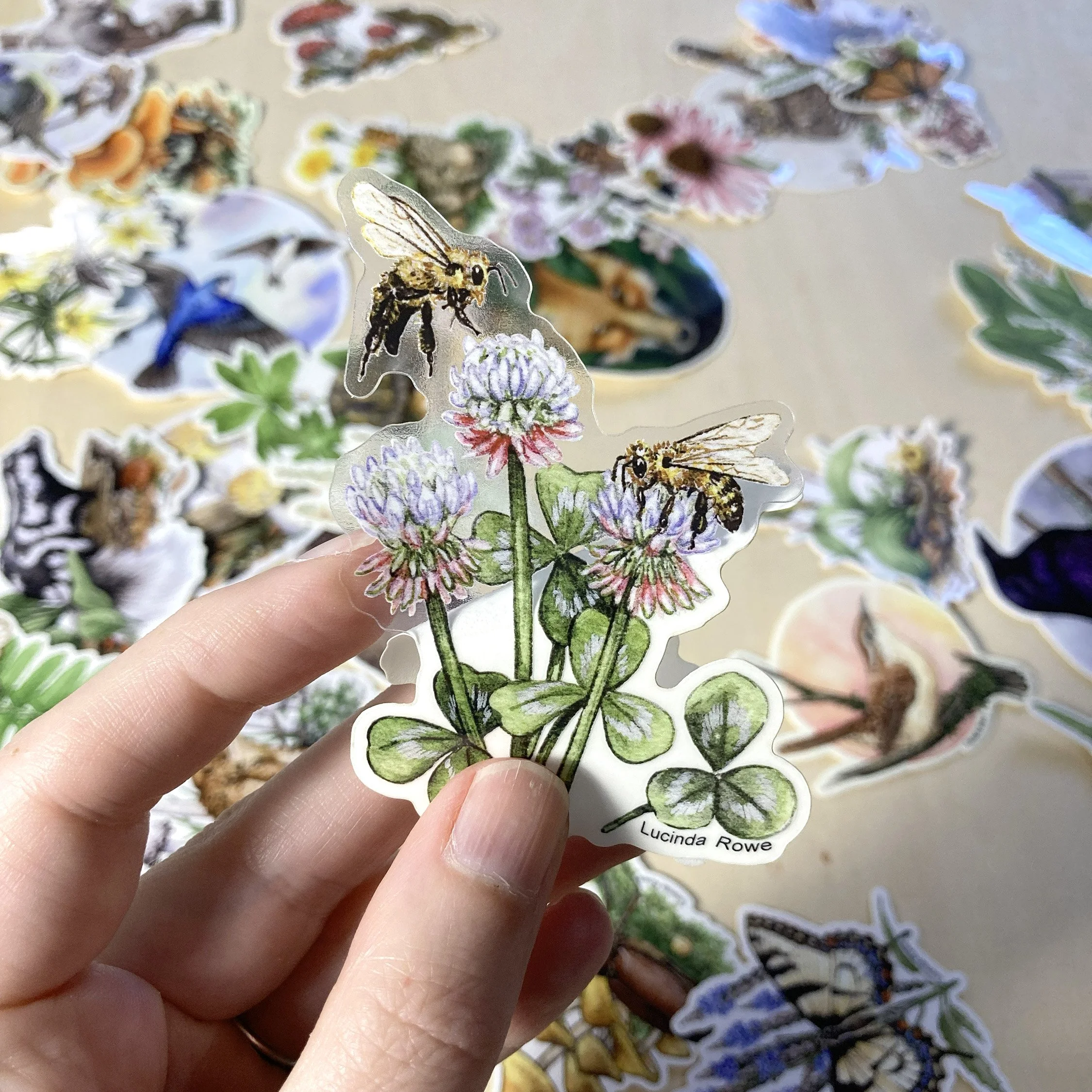 Clear Sticker - Honey Bees on Clover