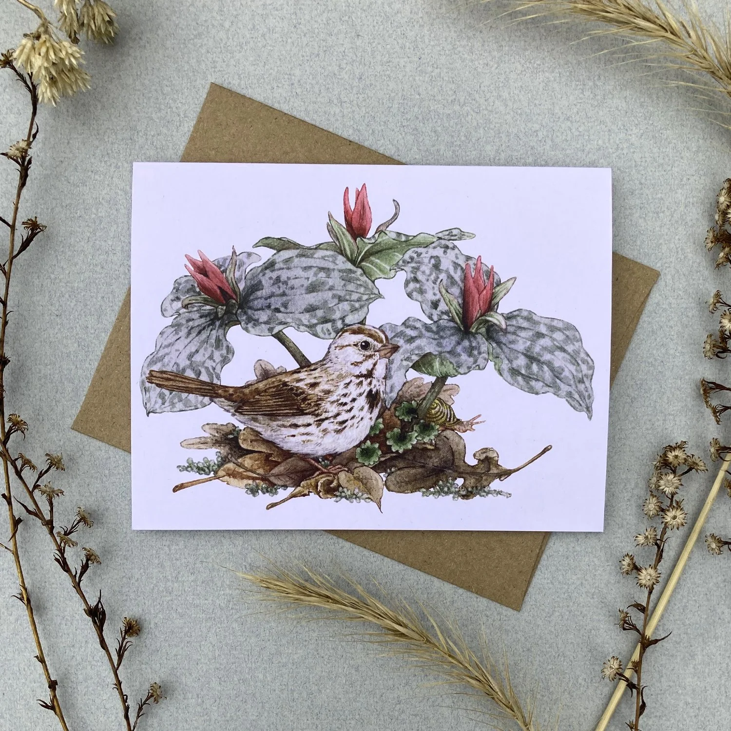 Cards_Woodland_photo 7.jpg