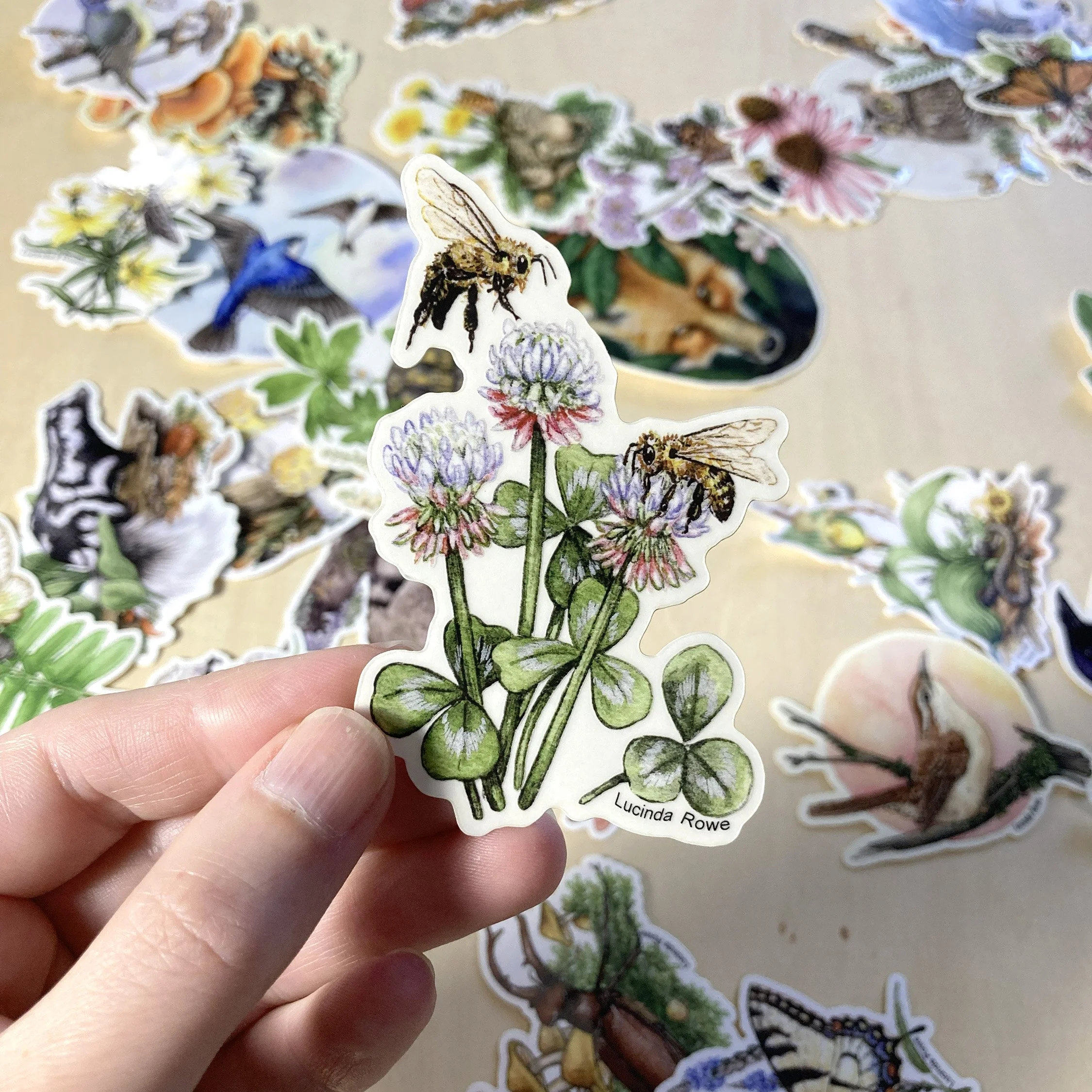 LRowe_honey bee sticker_photo 1.jpg