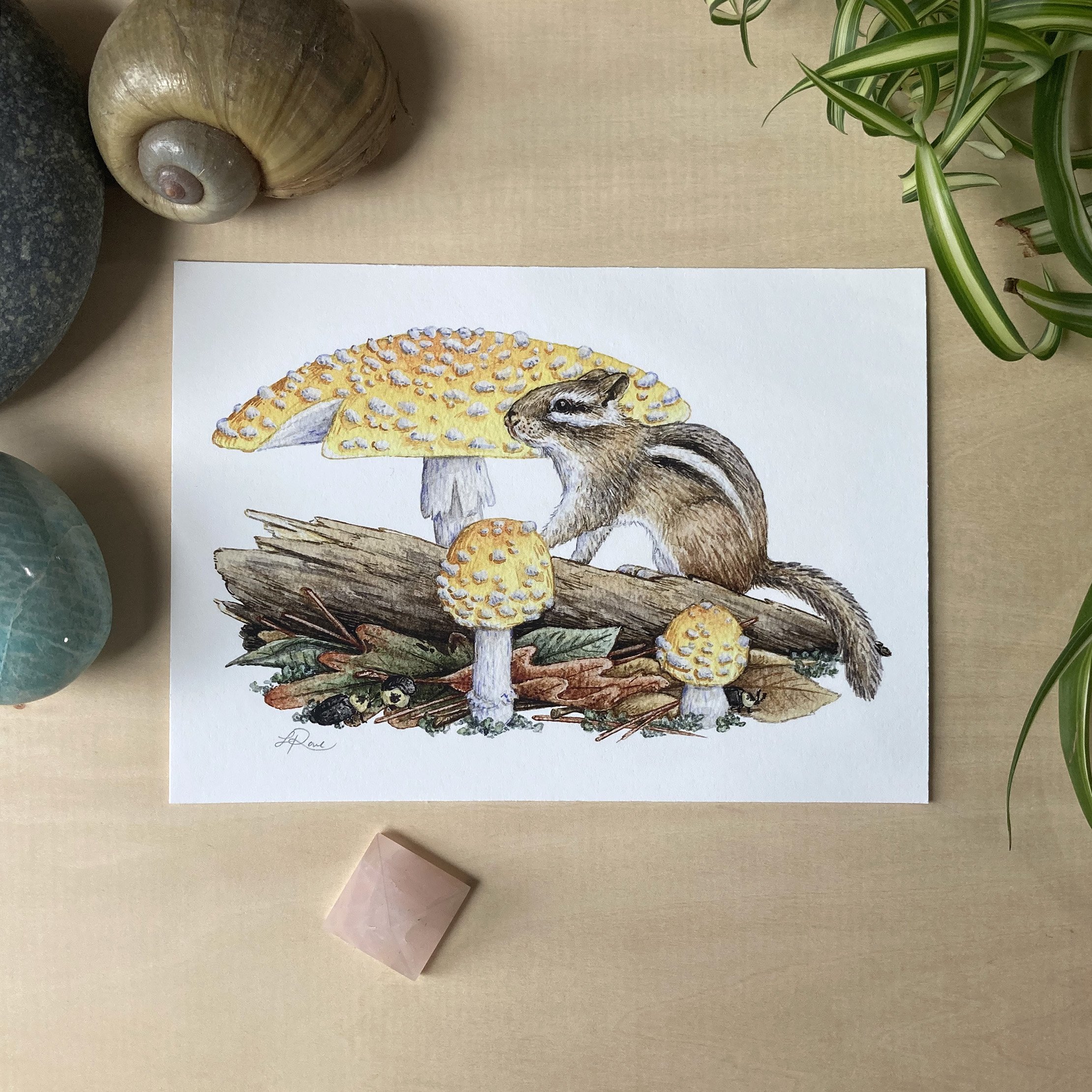 LRowe_chipmunk print_photo 2.jpg