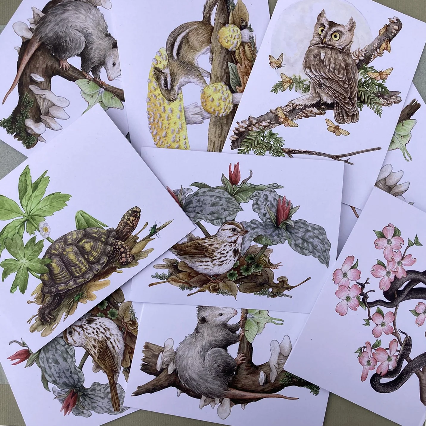 Cards_Woodland_photo 8.jpg