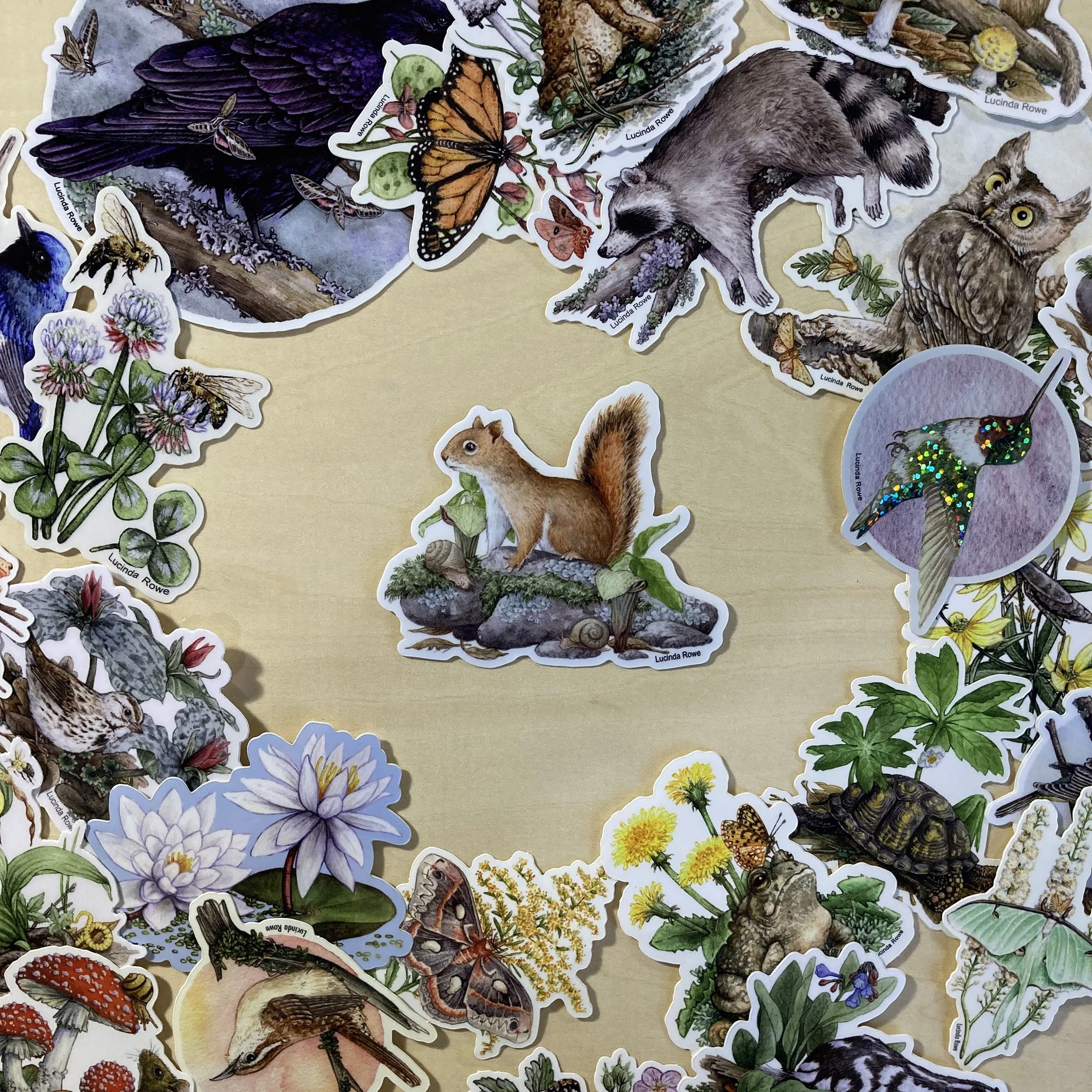 LRowe_sticker squirrel_photo 3.jpg