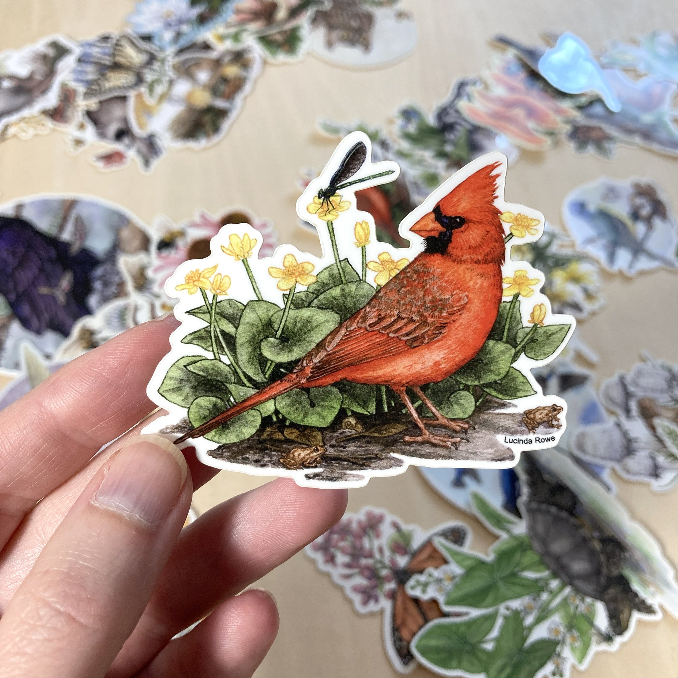 Sticker - Northern Cardinal and Marsh Marigold